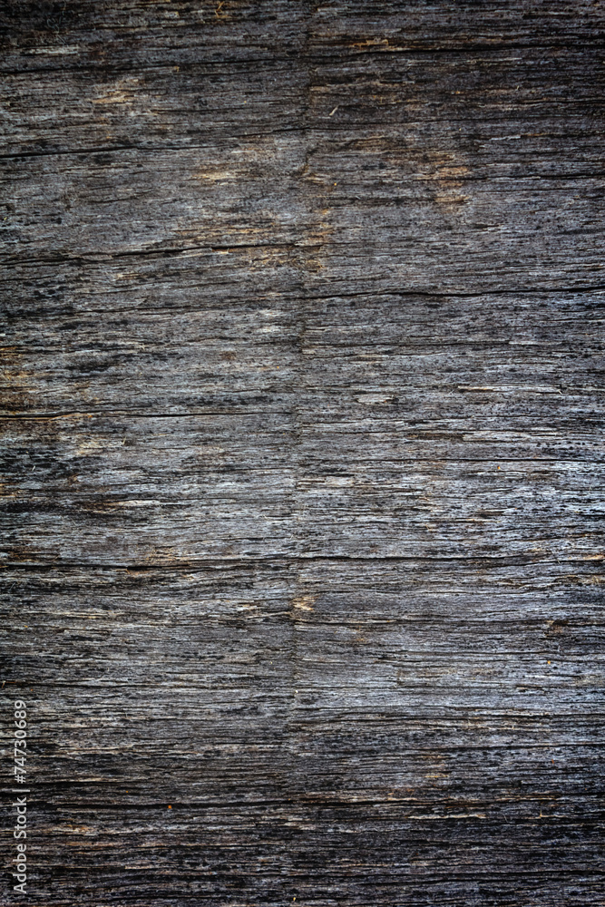 Naklejka premium Drewniane tekstury tła