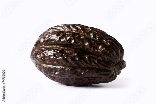 Cocoa cacao bean