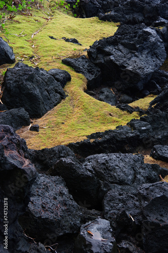 Картината върху платно La Réunion - Puits Arabe