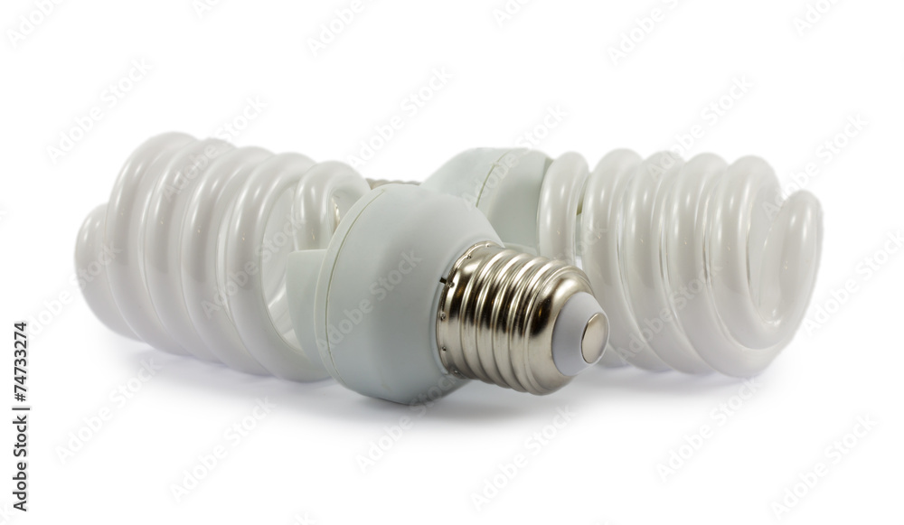 economical bulb isolated on a white background