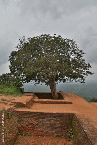 Sigiriya, Sri Lanka