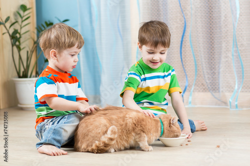 children boys feeding red cat