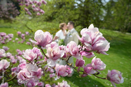 Fototapeta Naklejka Na Ścianę i Meble -  Flower