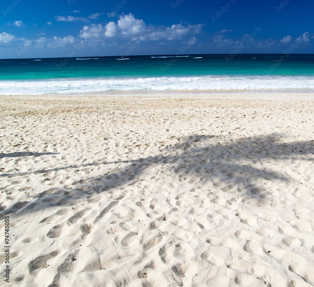 Obraz premium tropical sea