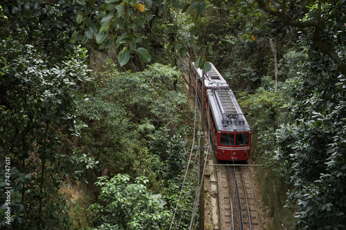 Red Brazilian Train Green Jungle Tijuca Rio Brazil