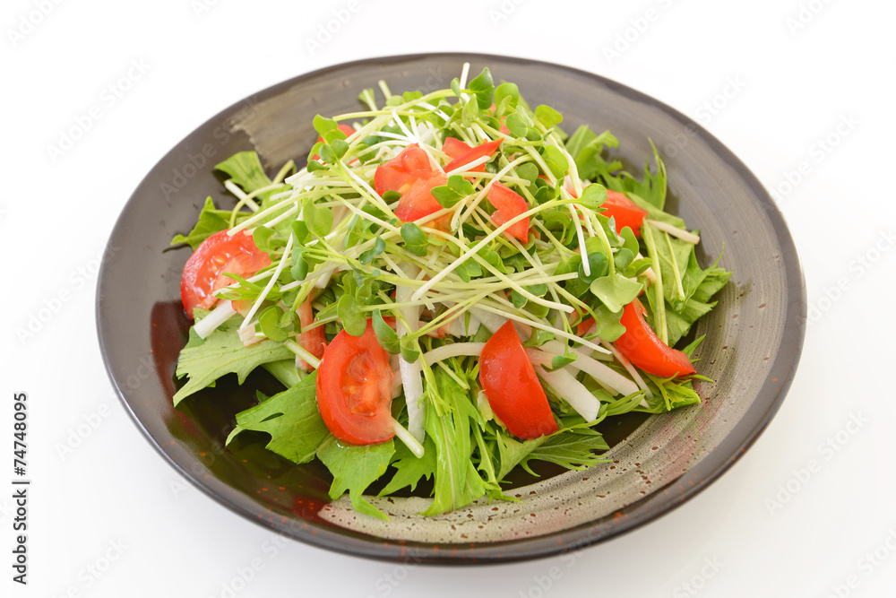 美味しそうなサラダ 美味しそうなサラダ