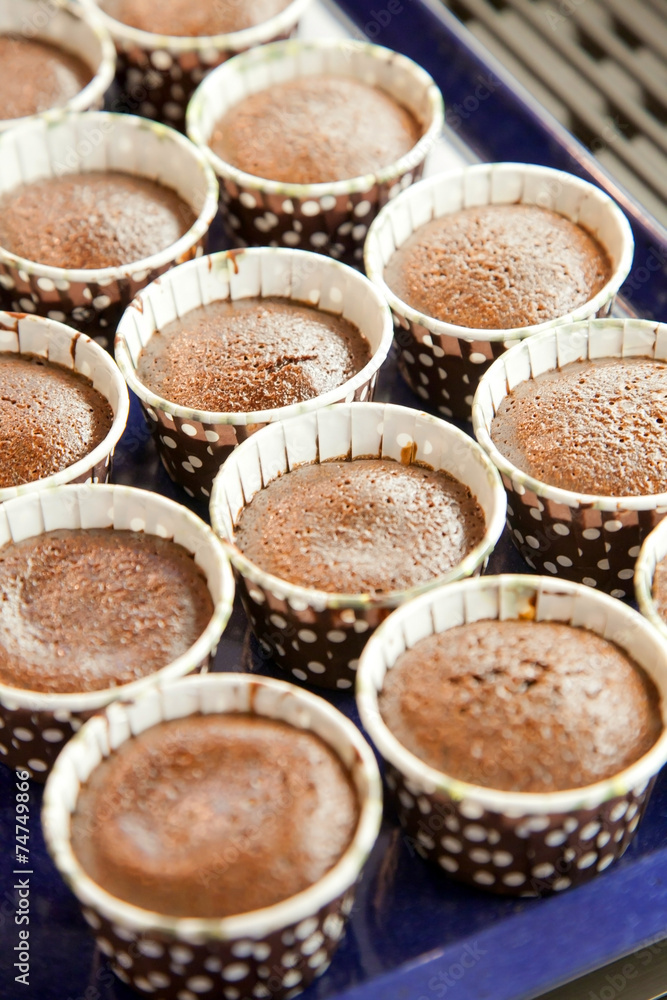 Baked chocolate cupcake in row on tray