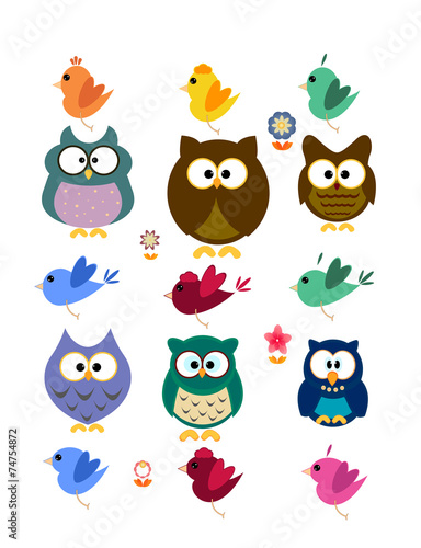 Collection of owl and bird