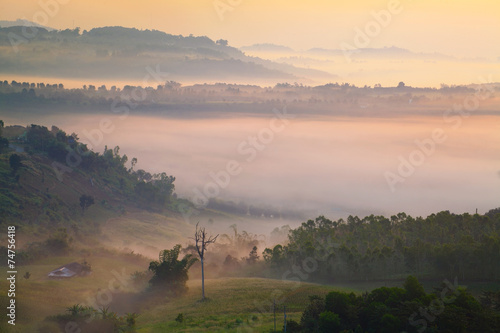 Fototapeta Naklejka Na Ścianę i Meble -  misty morning sunrise in mountain at Khao-kho Phetchabun,Thailan
