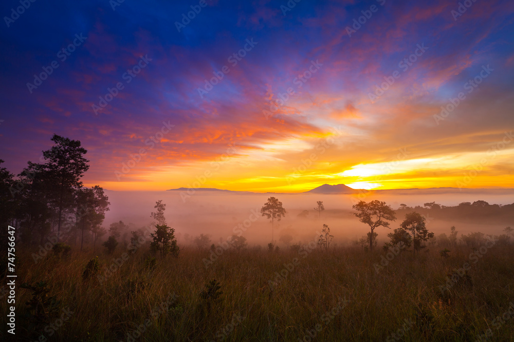 misty morning sunrise in mountain at Thung Salang Luang National misty morning sunrise in mountain at Thung Salang Luang National