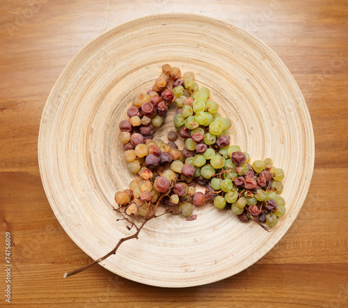 Billede på lærred Nosiola grape cluster hit by noble rot