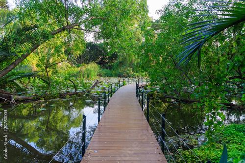 wood bridge