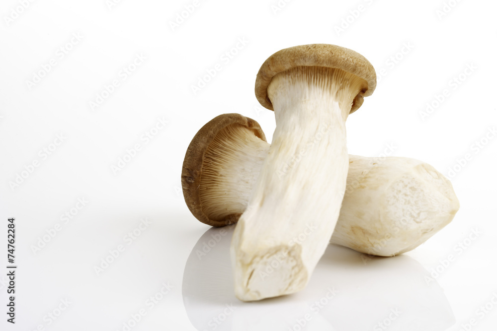 Fototapeta premium Kräutersaitling aus China