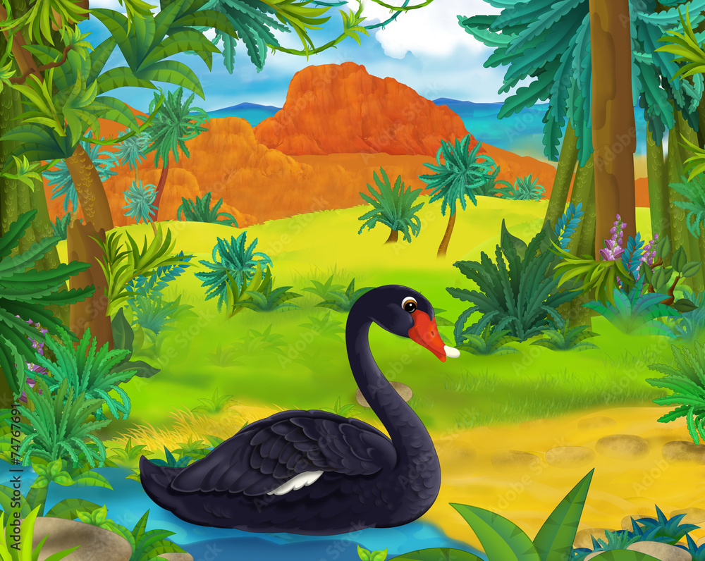 Cartoon scene - wild america animals - black swan Stock Illustration |  Adobe Stock