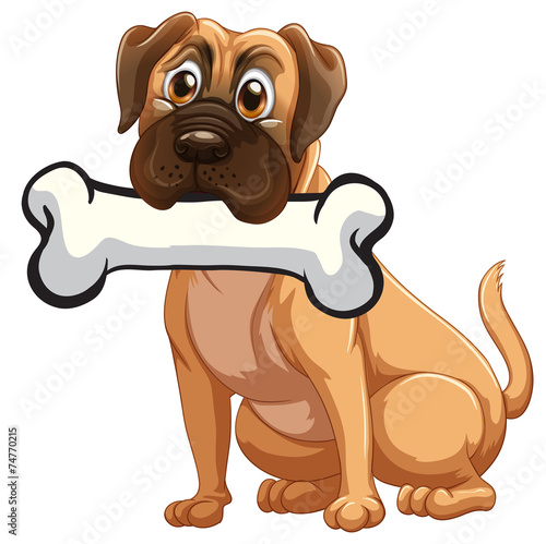 A dog with a bone