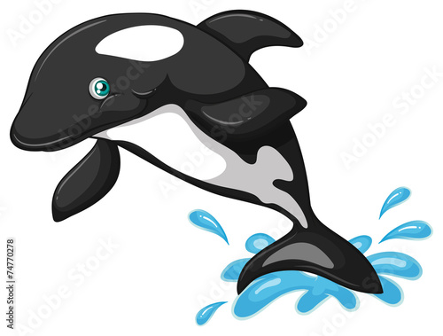 Whale