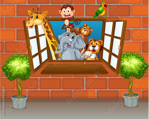Zoo animals at the window