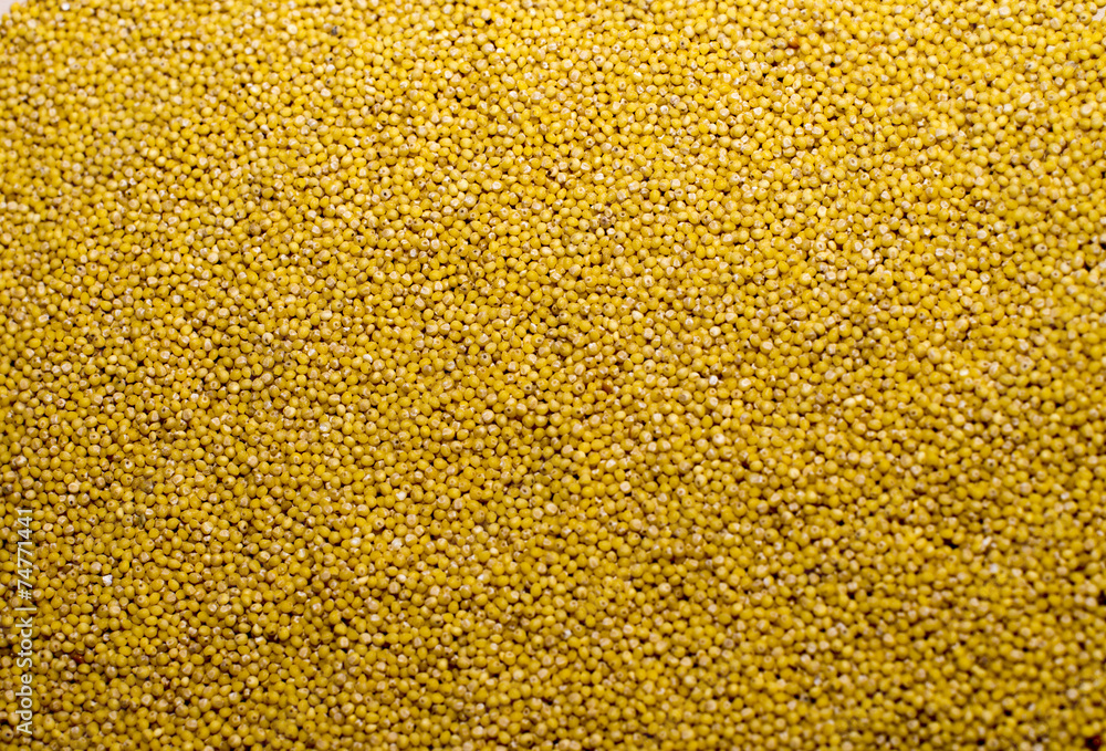 millet millet