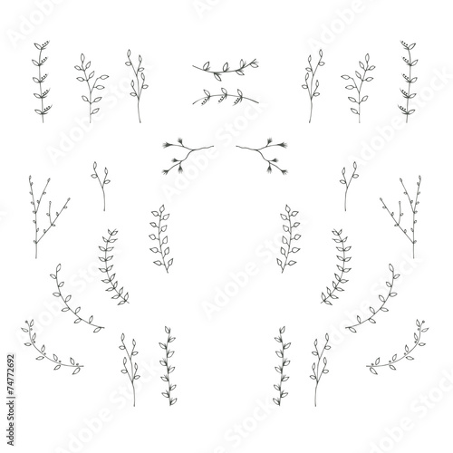 Hand-drawn branches graphic design elements set.
