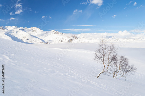 Candid alpine environment © fabio lamanna