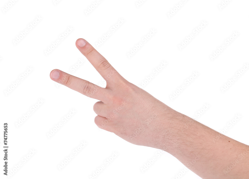 Man's hand Man's hand