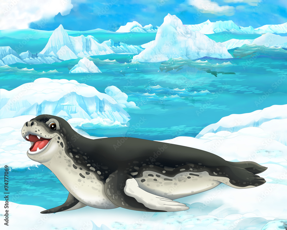 Arctic Sea Leopard