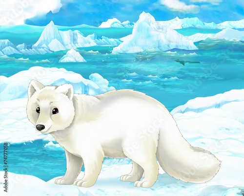 Cartoon scene - arctic animals - arctic fox