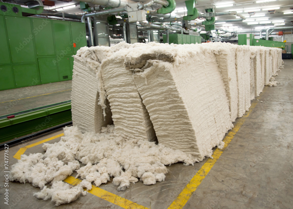 Textile industry - Carding department