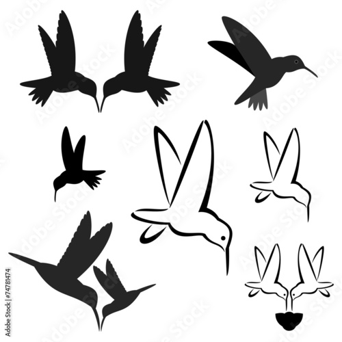 Hummingbird