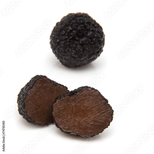 Black summer truffle isolated on a white studio background. © Edward Westmacott