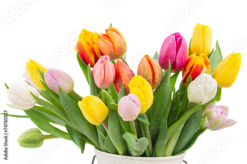 Fototapeta Naklejka Na Ścianę i Meble -  bouquet of multicolored   tulip flowers in white pot