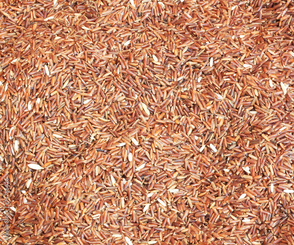 brown rice brown rice