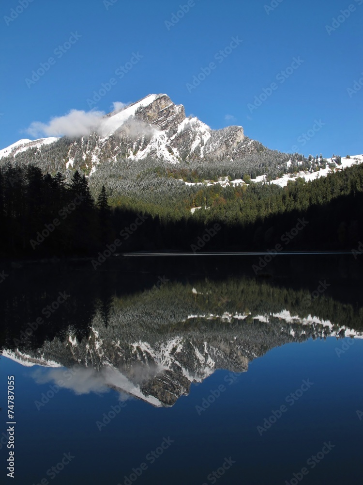 Mountain peak mirroring in lake Obersee