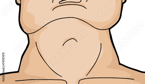 Muscular Human Neck