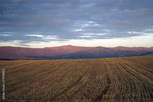 Farmland