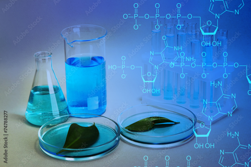 Naklejka premium Test-tubes and leaves tested in petri dishes on blue background