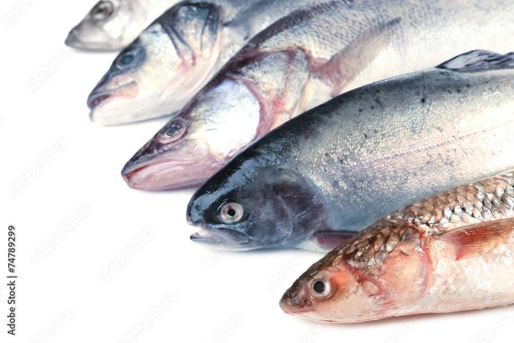 Fresh fish isolated on white Fresh fish isolated on white