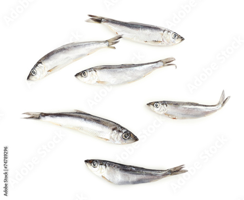 Canvastavla Fresh fish isolated on white