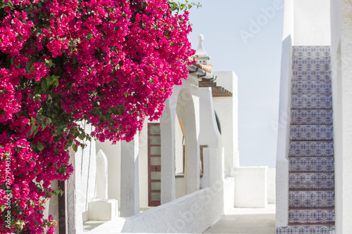 Fototapeta Naklejka Na Ścianę i Meble -  purple Bougainvillea flower on a portuguese house.