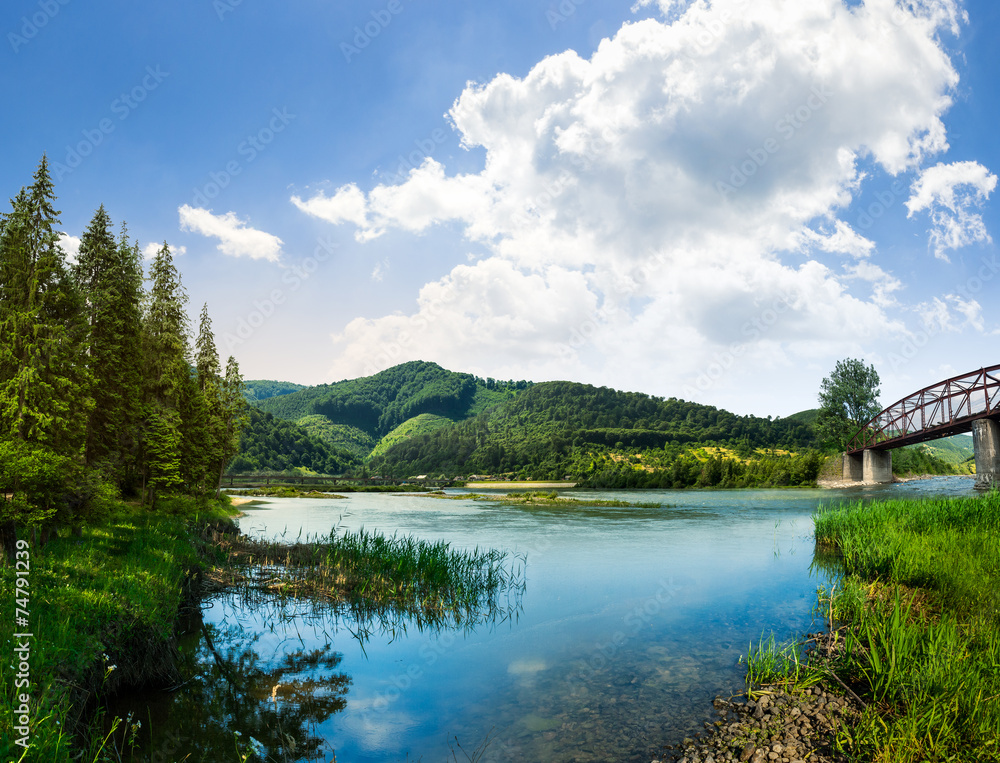 forest and river near the village in mounta forest and river near the village in mounta
