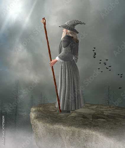 Tableau sur toile Old wizard
