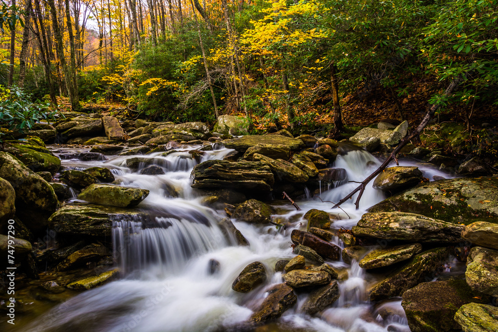 Autumn color and cascades on Boone Fork along the Blue Ridge Par