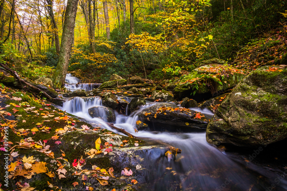 Autumn color and cascades on Stoney Fork, near the Blue Ridge Pa