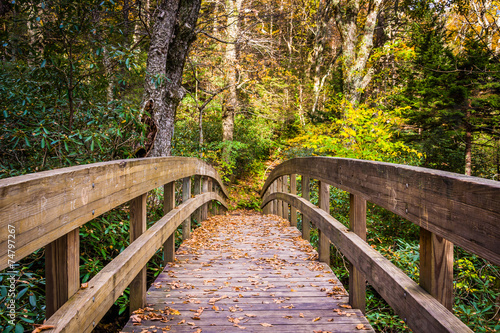 Autumn color and bridge on the Tanawha Trail, along the Blue Rid photo