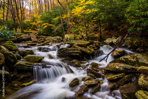 Autumn color and cascades on Boone Fork along the Blue Ridge Par