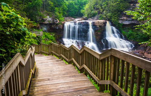 Fotografering Blackwater Falls and a trail at Blackwater Falls State Park, Wes