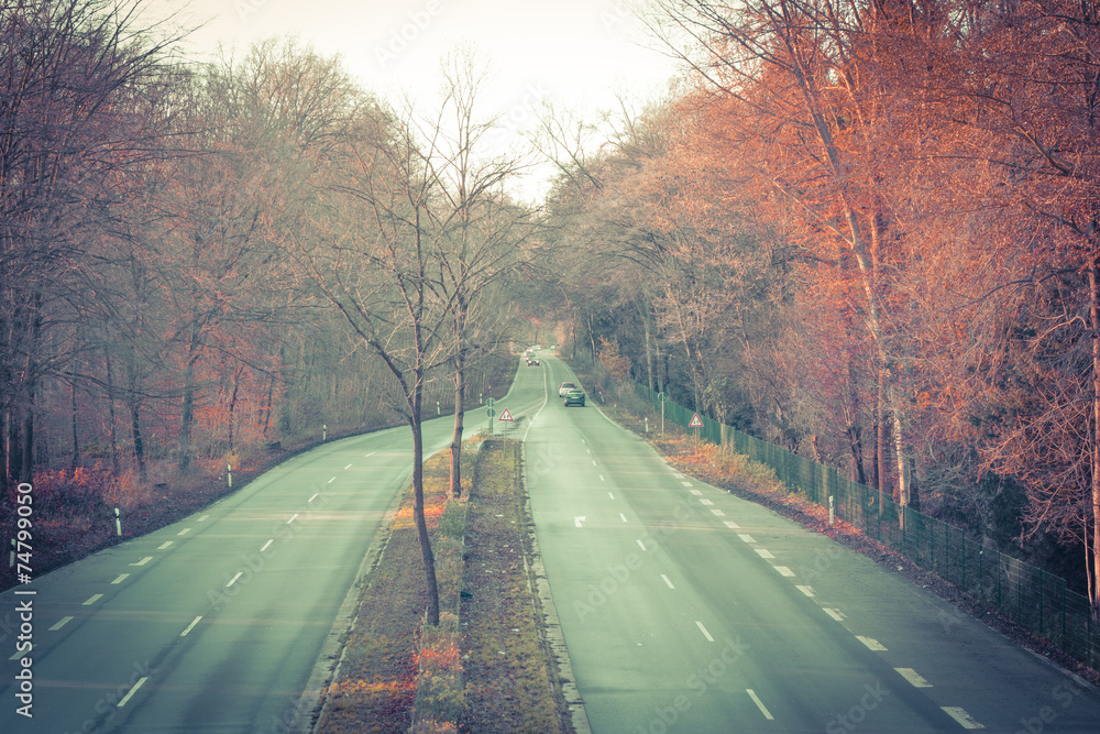 Fototapeta premium Straße im Herbst
