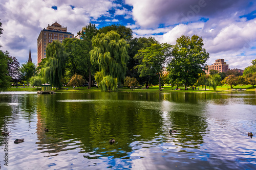 Building and weeping willow trees and a pond in the Boston Publi