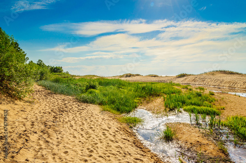 Sand dunes near Baltic sea in Saulkrasti, Latvia