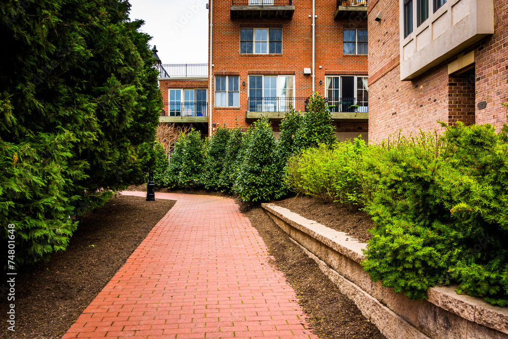 Condominiums and bushes along a brick pathway in Fells Point, Ba